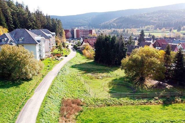 Warum die Lebensheimat nach Neustadt will und Bedenken auslst