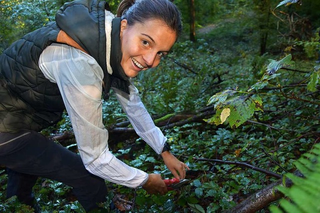 Bonnie Schimmeck beseitigt konkurriere...m Baby-Eichen beim Wachstum zu helfen.  | Foto: Andrea Steinhart