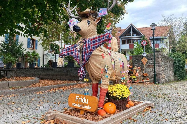 Hirsch Fridu in seinem aktuellen Herbstgewand  | Foto: Sarah Trinler