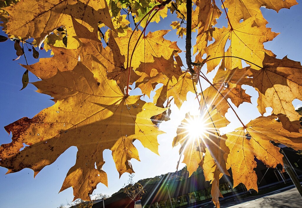 Octubre se despide con tiempo de verano – panorama