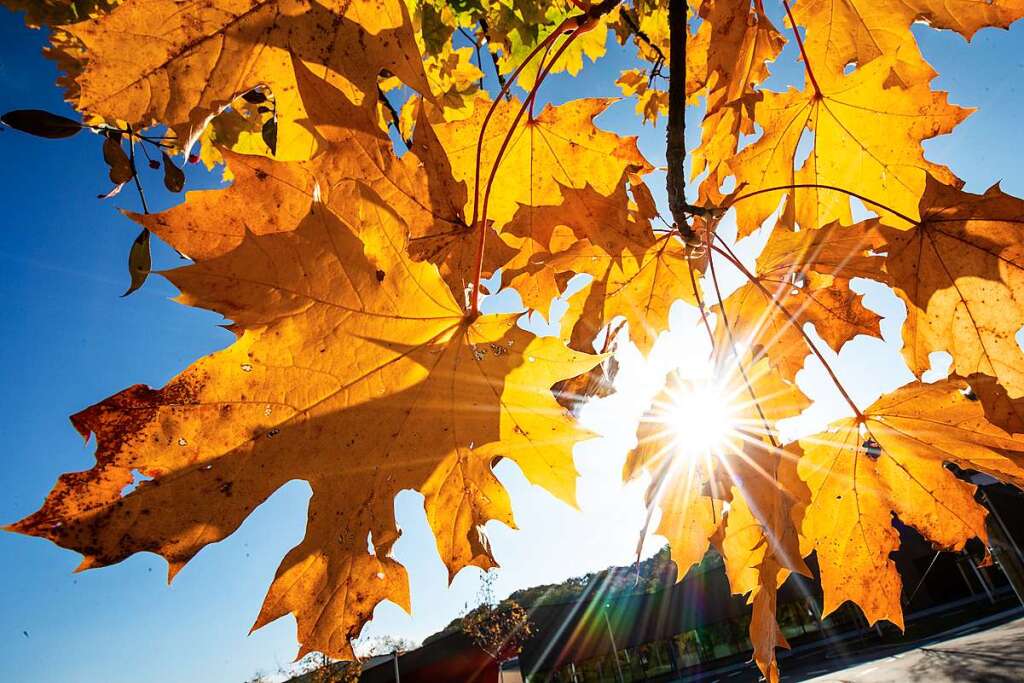 Octubre en Baden-Württemberg se despide con clima de verano – suroeste