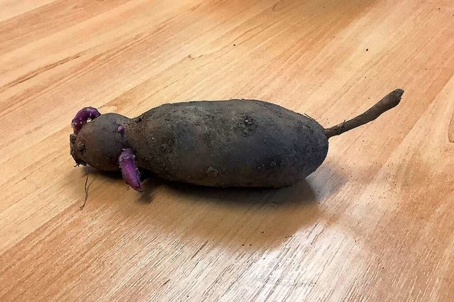 Eine Kartoffel-Maus  | Foto: Maike Ochsendorf