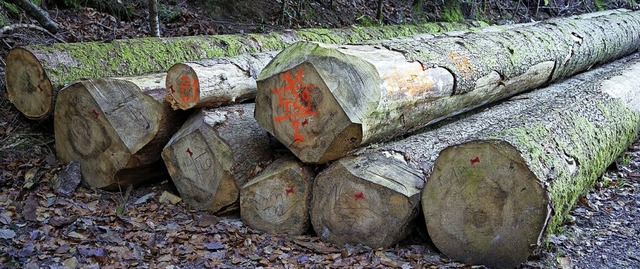 Holz im Seelbacher Wald: In Zeiten der Energiekrise boomt der Brennholzmarkt   | Foto: Beate Zehnle-Lehmann