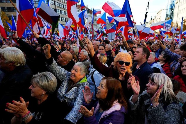 Nicht alle Demonstranten rechnen sich dem rechten Spektrum zu.  | Foto: Petr David Josek (dpa)