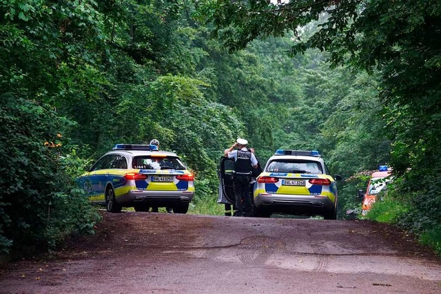 Das Kleinflugzeug strzte in einen Wald bei Altheim ab. (Symbolbild)  | Foto: Sdmg , Dettenmeyer (dpa)