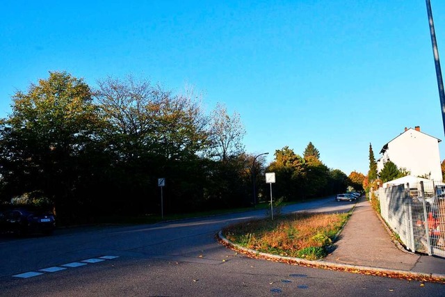 Die Garage soll an der Scheffelstrae in Grenzach neben der Bahnlinie entstehen.  | Foto: Heinz und Monika Vollmar