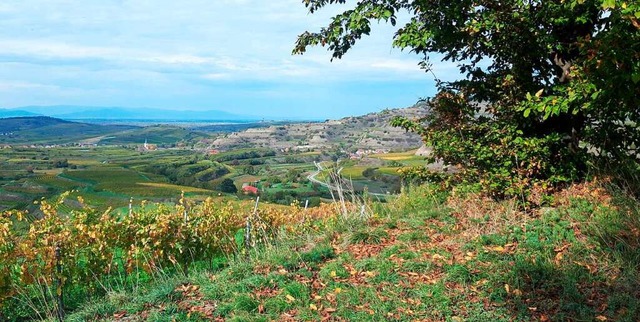 Ausblick auf den Kaiserstuhl.  | Foto: Hans-Martin Schaller