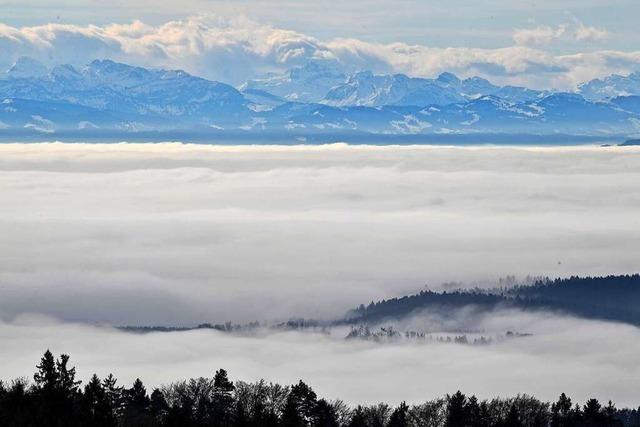 Experten: Weniger Nebel am Bodensee wegen Klimawandel