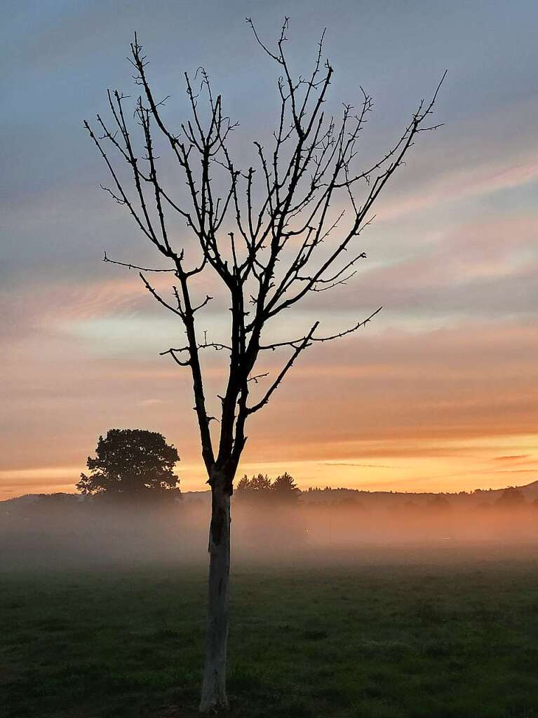 Morgenstimmung auf dem Elzdamm bei Wasser