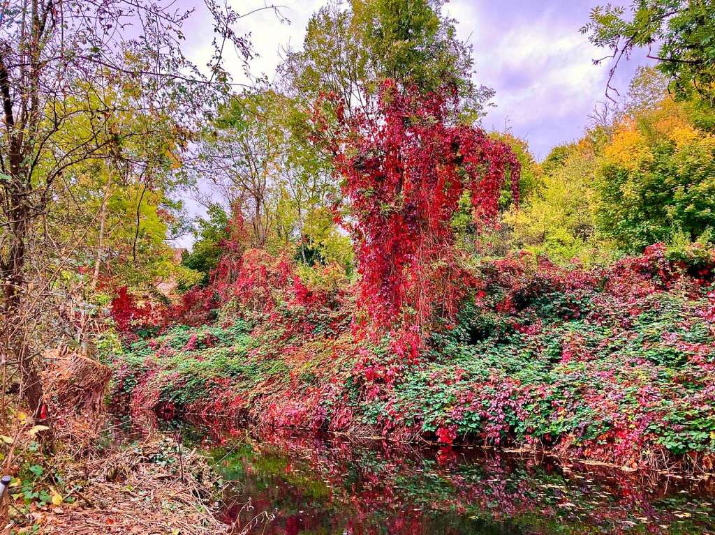 Herbststimmung bei der Mundinger Mhle