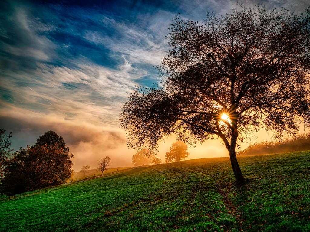 Der Schillinger Berg im Nebel