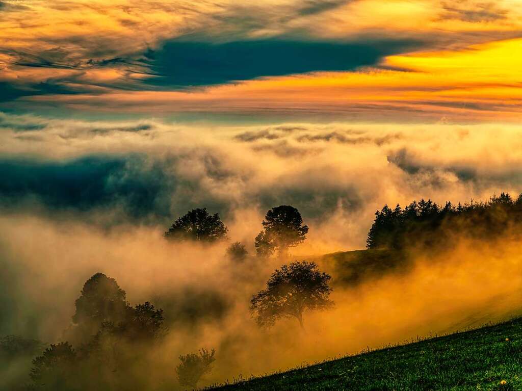 Der Schillinger Berg im Nebel