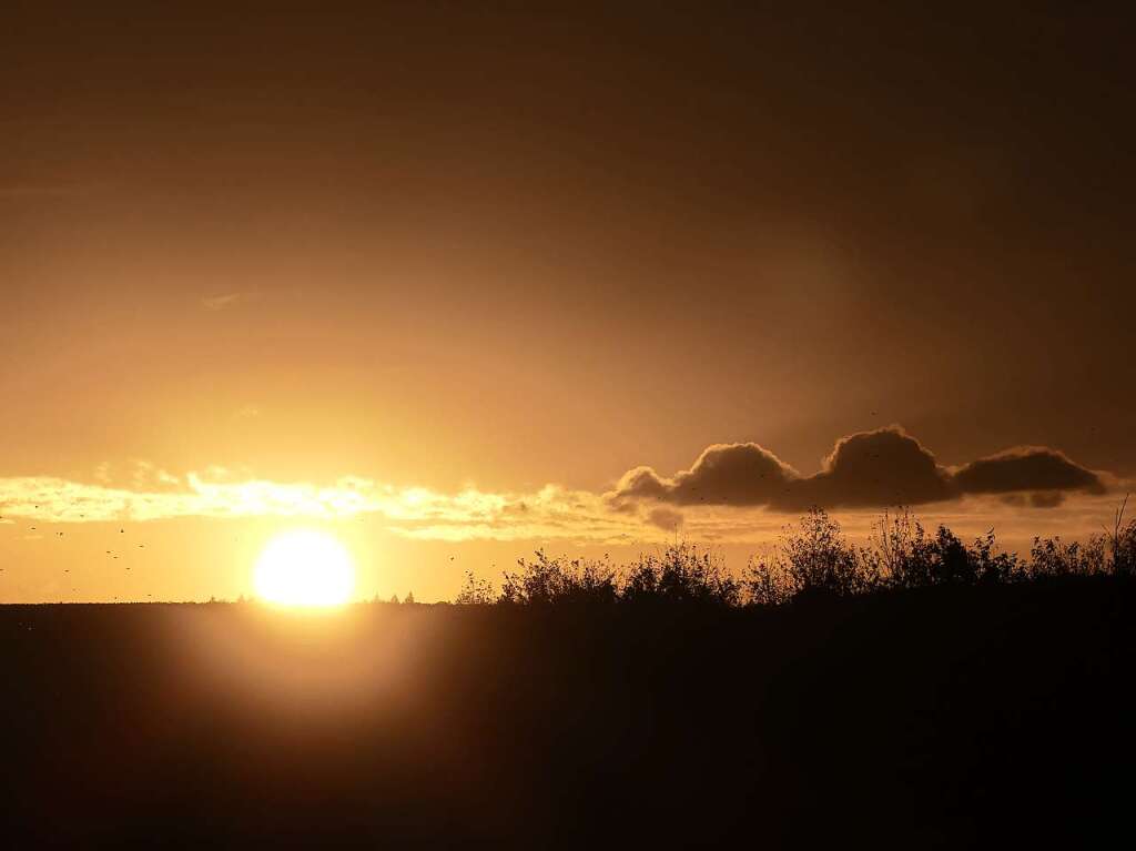 Sonnenaufgang bei Herbolzheim