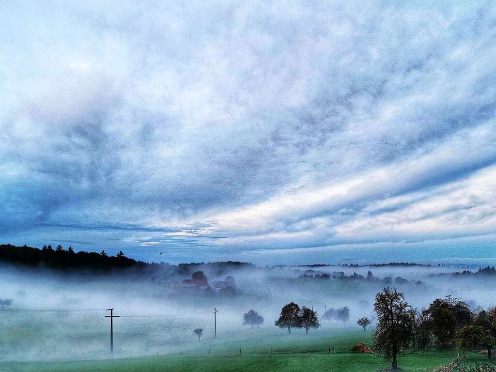 Nebelstimmung in Freiamt