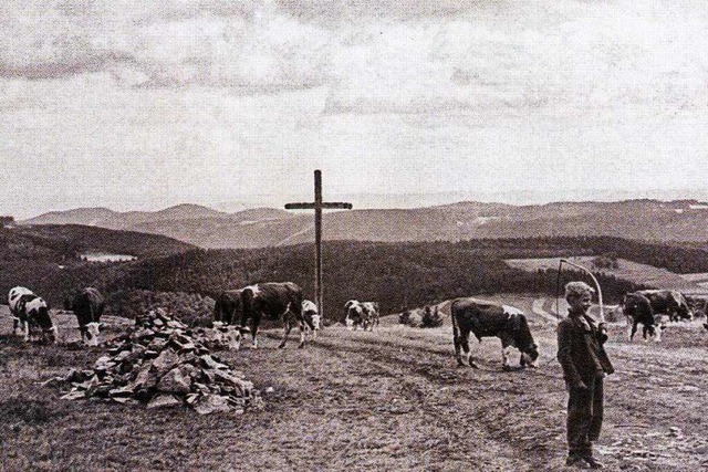 Ein Hirtenbub mit Viehherde beim Schwedenkreuz auf dem Rohrhardsberg.  | Foto: Archiv Heimat- und Landschaftspflegeverein  Yach