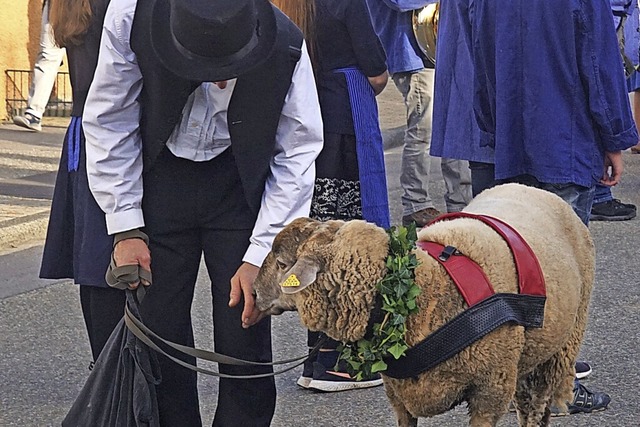 Der Hammel und sein Hammelfhrer Bernd...e Stars beim diesjhrigen Kilwi-Umzug.  | Foto: Ilona Huege