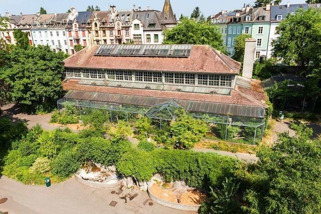 Tiergehege auf dem Parkplatz: Basler Zoo plant weitreichende Erweiterung
