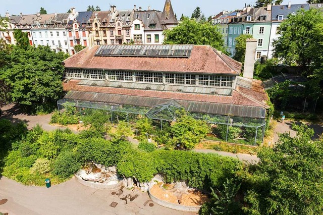 Der Zolli mchte wachsen, das ist aber mitten in der Stadt nicht leicht.  | Foto: Zoo Basel (Torben Weber)