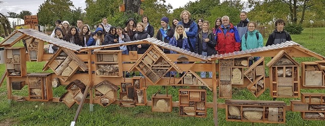 <BZ-FotoAnlauf>Markgrfler Gymnasium:<...auf dem Gelnde der Landesgartenschau.  | Foto: Axel Heinrich