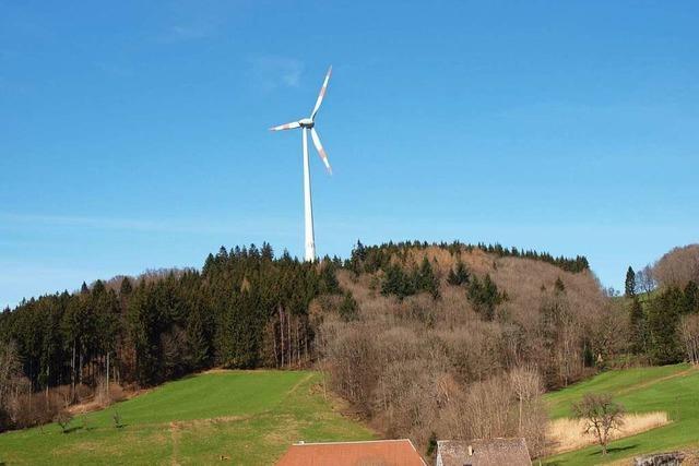 Emmendingen diskutiert 48 Empfehlungen fr eine autarke Energieversorgung