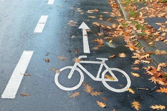 Was Radfahrer auf den Schutzstreifen in Rheinfelden beachten mssen