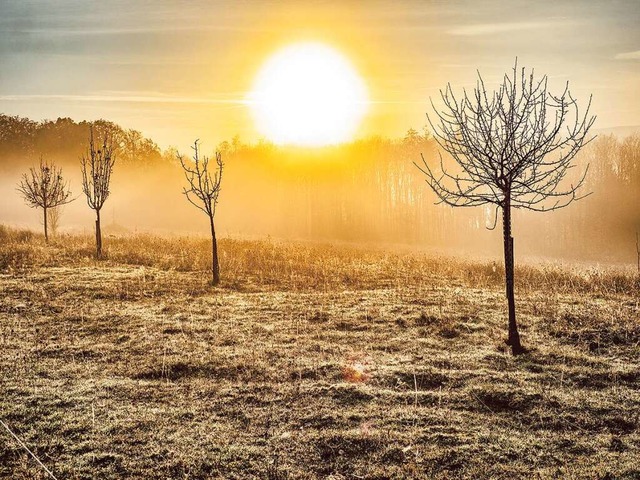 Eine der Fotografien aus dem Buch  | Foto: Detlef Lingner