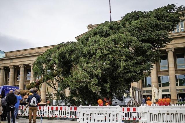 Weihnachtsbaum in Stuttgart aufgestellt