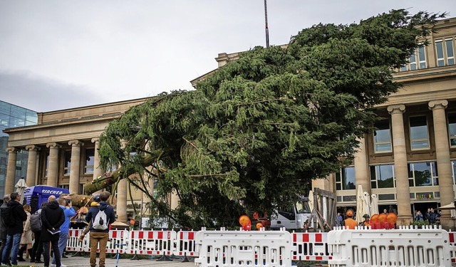   | Foto: Christoph Schmidt (dpa)