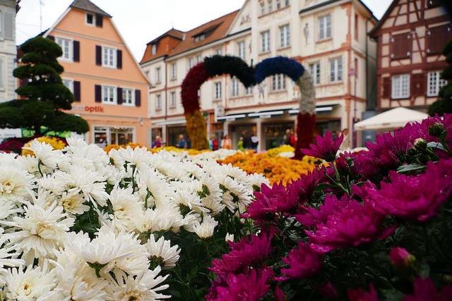 Die Stadt zieht eine positive Chrysanthema-Bilanz.  | Foto: Alena Ehrlich