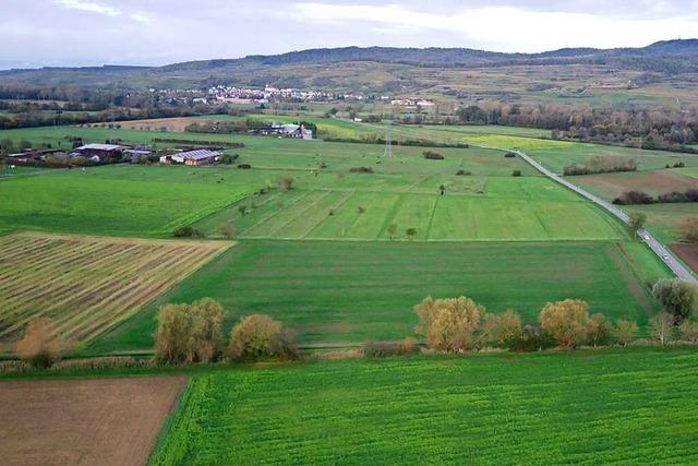Geoökologe sieht das Wasenweiler Ried durch Bau der B31 gefährdet