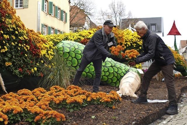 Abschied von der Chrysanthema