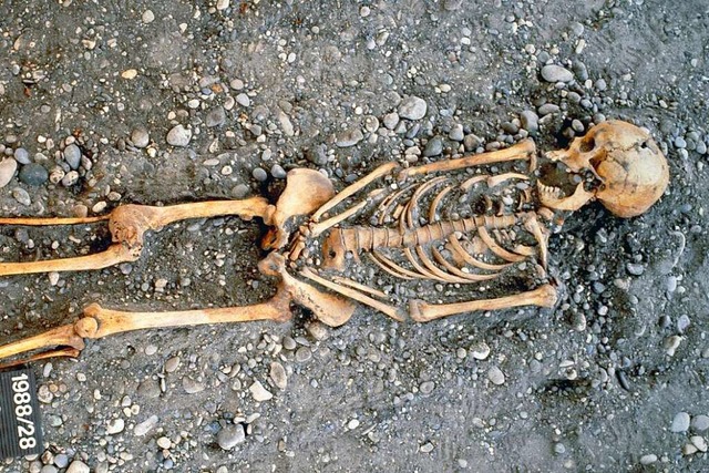 Skelett einer Schneiderin aus dem frh...truktur der Handknochen widerspiegelt.  | Foto: Alexander Karakositis