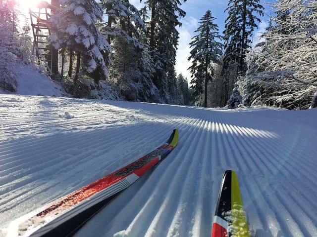 Die bisherige Firma stand fr die Loipenpflege nicht mehr zur Verfgung.  | Foto: Tourismuszentrale Fichtelgebirge (dpa)