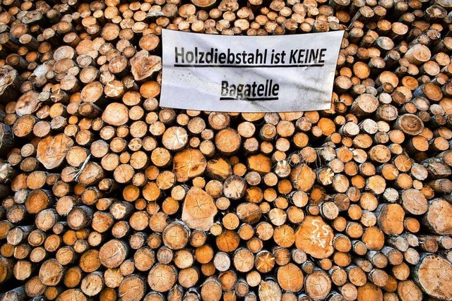 Allein mit Appellen lassen sich Holzdi...setzen immer hufiger auf GPS-Tracker.  | Foto: imago stock&people