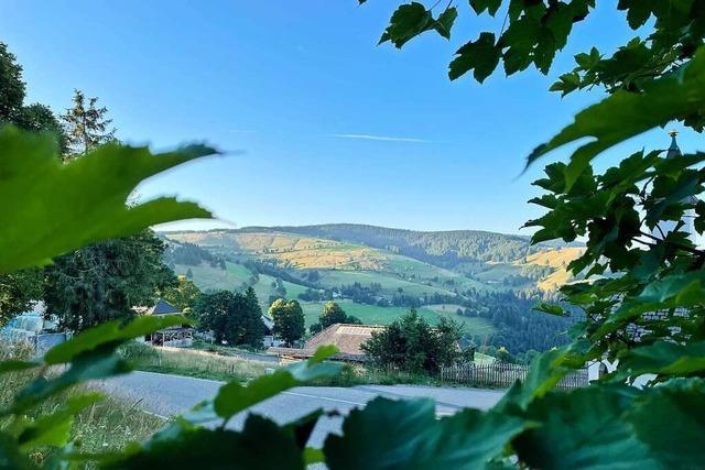 Auf dem Haldenkpfle drfen zwei neue Windkraftanlagen gebaut werden