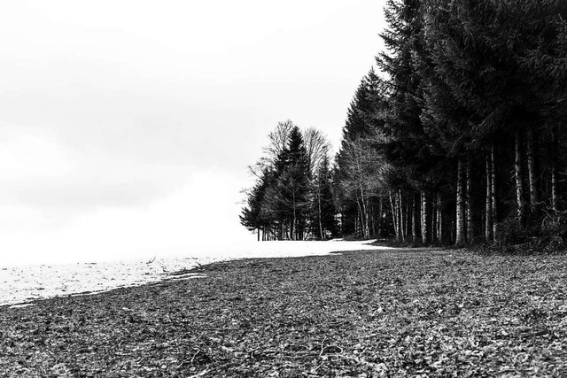 Wie wird der Winter im Schwarzwald?  | Foto: Carlotta Huber