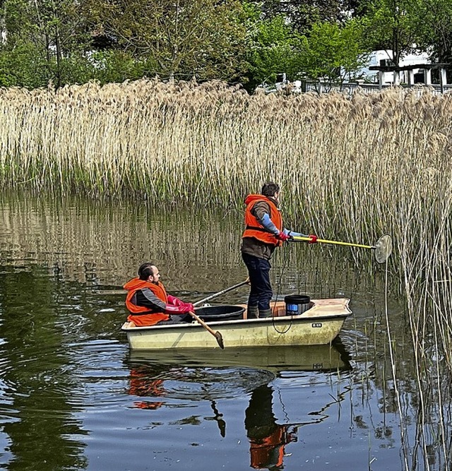 Mitarbeiter des Fischereiverbands unte...en Fischbesatz im Mrkter Brandweiher.  | Foto: Stefan Hofmann