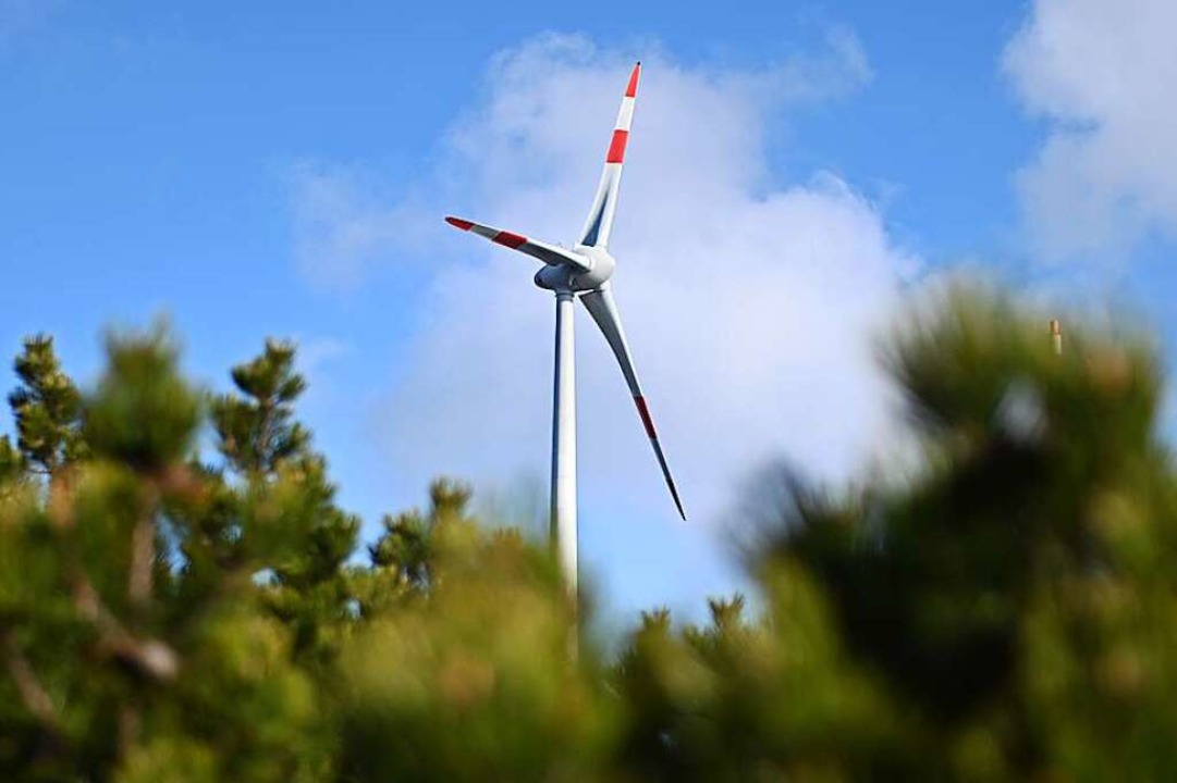 Neun Thringer Waldeigentmer hatten V...n die Windkraftanlagen gebaut werden.   | Foto: Uli Deck