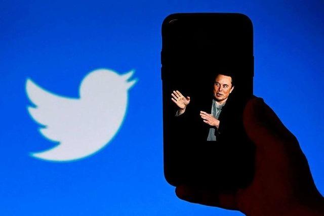 Elon Musk schließt eine Insolvenz bei Twitter nicht aus
