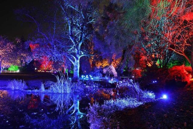 Zum zweiten Mal leuchtet der Lahrer Stadtpark im Dunkeln