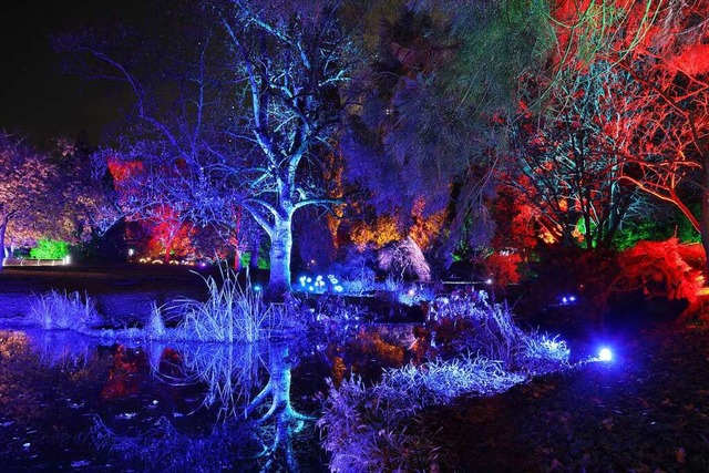 Der Lahrer Stadtpark verwandelt sich zwei Wochen lang in eine Licht-Oase.  | Foto: Christoph Breithaupt