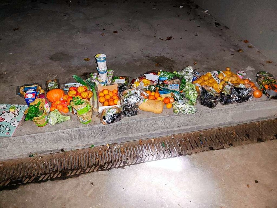 Diese Lebensmittel hat die Gruppe nachts aus der Mülltonne geholt.  | Foto: Carolin Johannsen