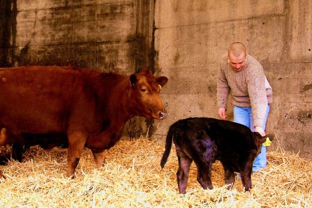 Neu-Kuhbesitzer Ruven Kraft mit seiner...22;Amelie&#8220; und ihrem Klbchen     | Foto: Monika Romb ach