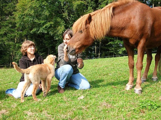 Mit den Tieren artgerecht umgehen: Ent...t den Menschen  vom Huslemaierhof.     | Foto: Beate Beule