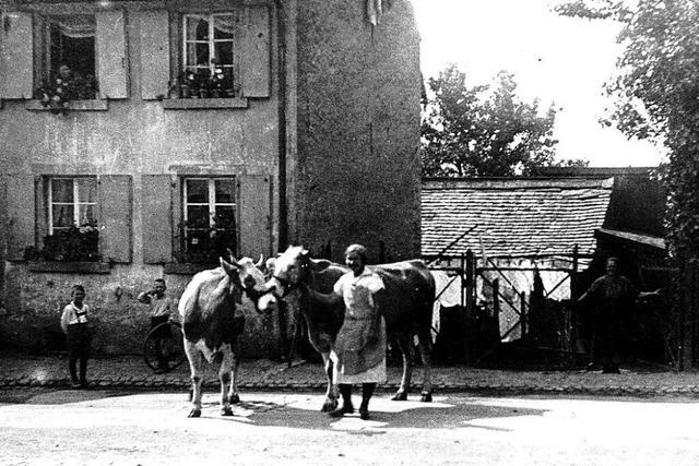 Der vornehme Stadtteil Herdern war einst ein Bauerndorf