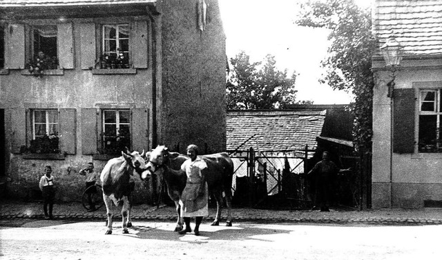 Noch in den 1920er Jahren wurde in Her... ffentlich durch die Straen gefhrt.  | Foto: Hans Sigmund