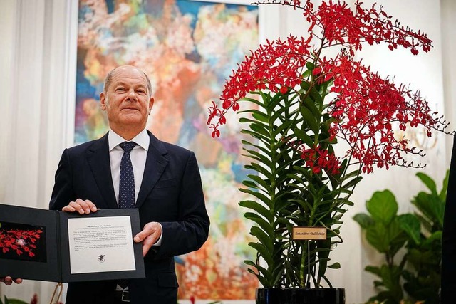 Bundeskanzler Olaf Scholz (SPD) bei der Orchideenzeremonie  | Foto: Kay Nietfeld (dpa)