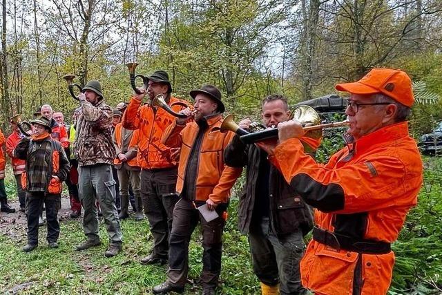 Drückjagd mit fast 40 Jägern und Treibern im Gottenheimer Oberen Wald