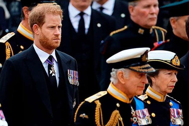 König Charles will Prinzen Andrew und Harry als Vertreter ersetzen