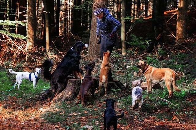 Wenn Dorit Santos das Haus verlsst, f...t mit den Tieren am liebsten den Wald.  | Foto: Madeleine Mller-Richter